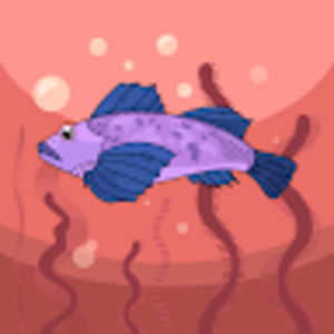 Meet your Posher, Puchi